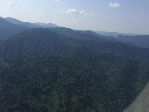 
	
	Giải thích cho việc hang Sơn Đoòng không được phát hiện sớm, Ginger Zee đã đăng tải một bức ảnh rừng Phong Nha - Kẻ Bàng chụp từ trên cao với lời chú thích: 'Khu rừng rậm này là nguyên nhân che giấu thế giới bí mật đến hôm nay mới được phát hiện'.